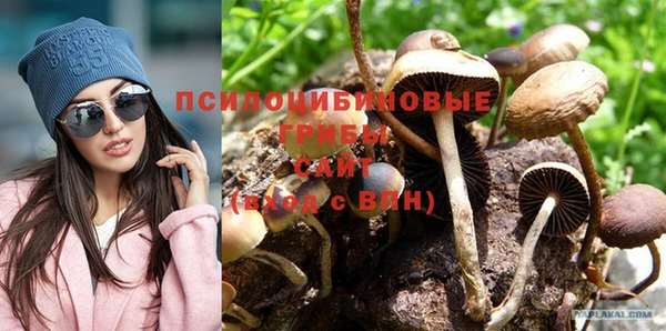 шишки Зеленокумск