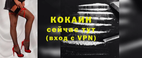 стаф Зерноград
