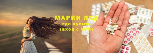 стаф Зерноград