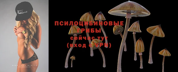 кристаллы Елабуга
