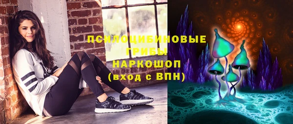 шишки Зеленокумск