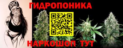 spice Камышлов