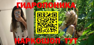 spice Камышлов
