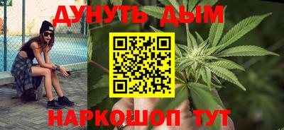 spice Камышлов