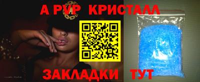 spice Камышлов