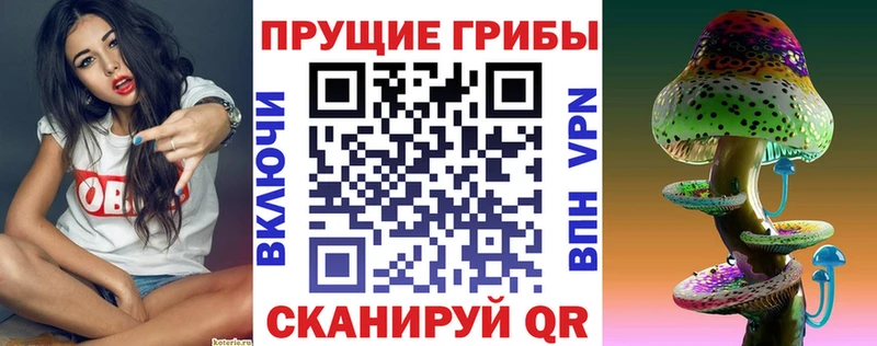 mega   Каменка  Галлюциногенные грибы мухоморы 