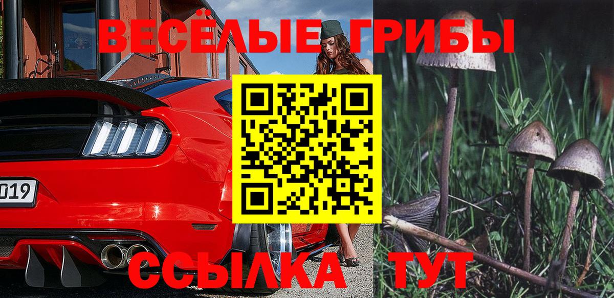Псилоцибиновые грибы ЛСД  Вход с VPN  Каменка 