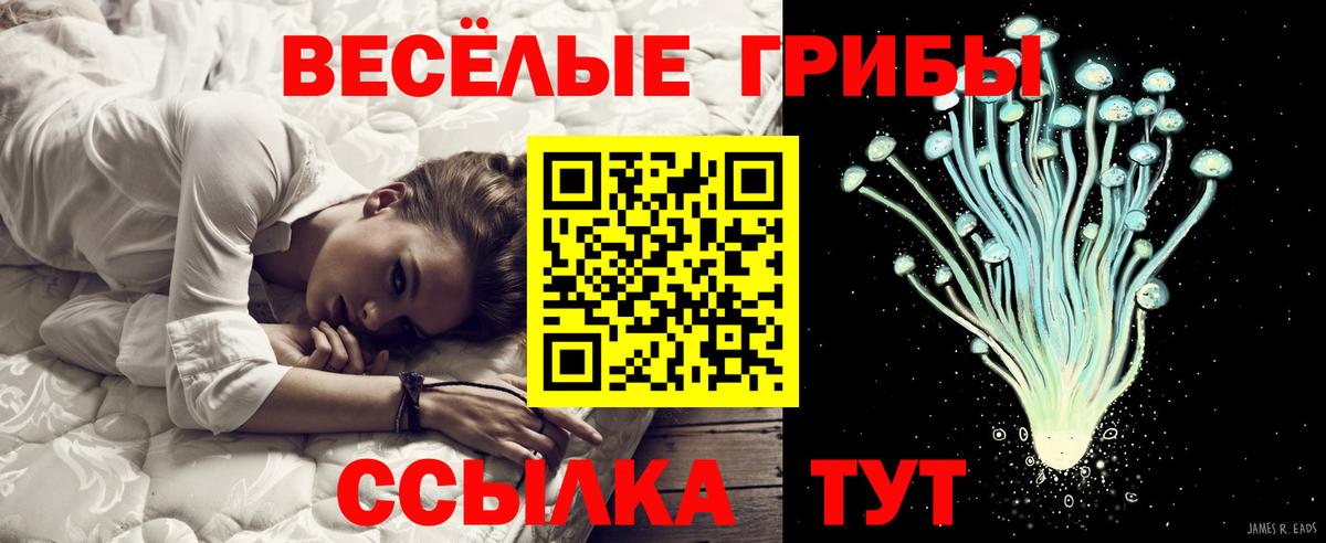 Галлюциногенные грибы GOLDEN TEACHER Каменка